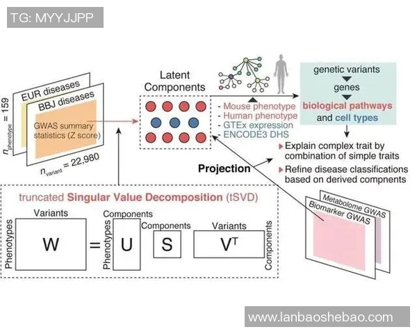 武汉羽毛球队战术分析与技巧提升的全面探讨与展望 武汉羽毛球队战术分析与技巧提升的全面探讨与展望