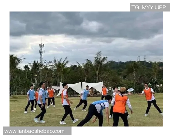 武汉飞盘队如何通过团队协作实现飞盘运动的变革与发展