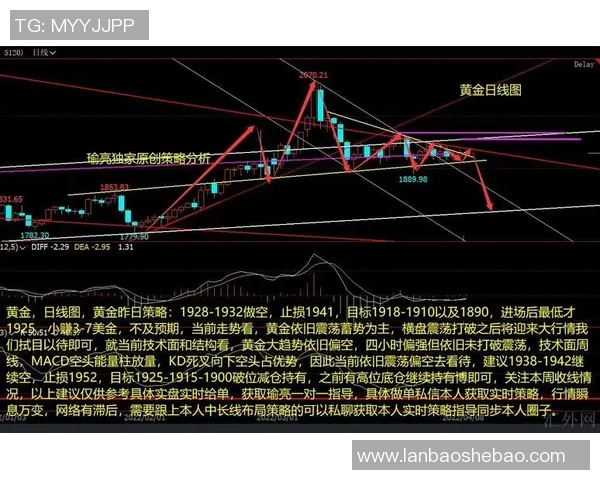 独家分析：V5战队配合策略与其他战队的深度对比解析