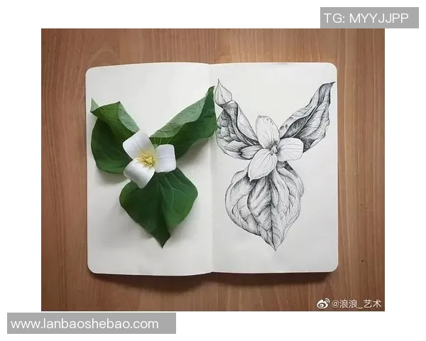 加莱诺的艺术世界探索与创作灵感的源泉分析 加莱诺的艺术世界探索与创作灵感的源泉分析