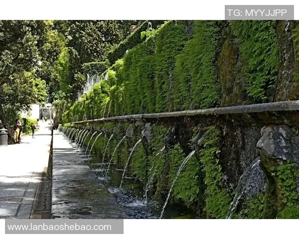 探索埃斯特旺的魅力与历史文化深度之旅