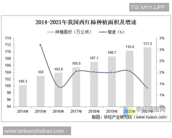 重庆足球队的整体压制革新探索与实践全景分析与未来展望