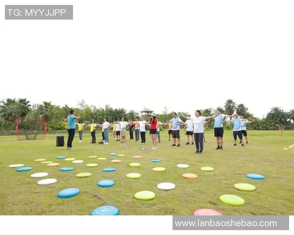 飞盘竞技新风潮:深入了解重庆飞盘队的速度与激情 飞盘竞技新风潮:深入了解重庆飞盘队的速度与激情